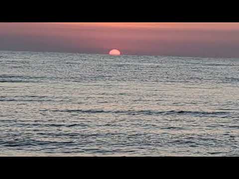 Neversea 2024 Sunrise 08 July 2024