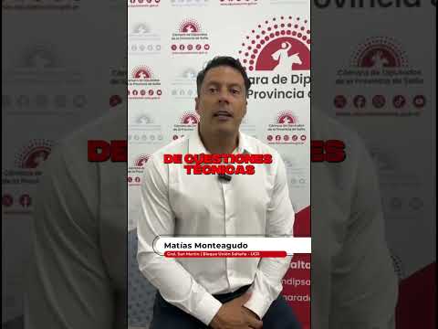 MEDIA SANCIÓN A LA CARTA ORGÁNICA MUNICIPAL DE GENERAL ENRIQUE MOSCONI. Dip. Matías Monteagudo