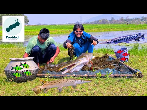 Lake Side Fishing with Promeal insects?❤️😜😜