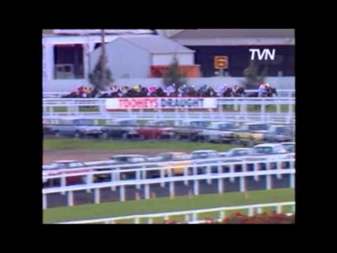 1988 Golden Slipper - Star Watch