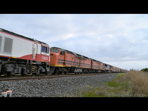 SCT 2PM9 Five Australian Diesel Locomotives With Bonus CLF4 & CLF2 (23/4/2021) - PoathTV Trains