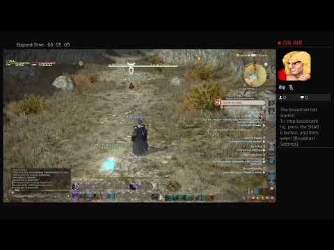 Final Fantasy 14 - Leves of Aleport - Complete Orwen's Trial Guildleve - Escort Memeroon