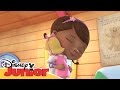 Disney Junior Garden Party - Doc McStuffins Theme Tune