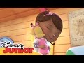Disney Junior Garden Party Doc McStuffins Theme Tune