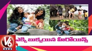 Elephant ride lands Tamil heroins Nazriya, Ranjini in trouble | V6 News