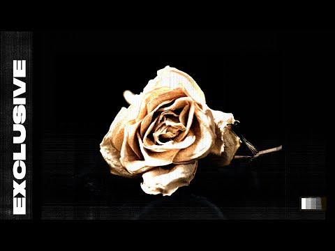 Thumbnail for Exclusive video