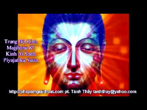 PT Tánh Thấy, Trung Bộ Kinh, Majjhima Nikaya 87, Kinh Ai Sanh Piyajatika Sutta