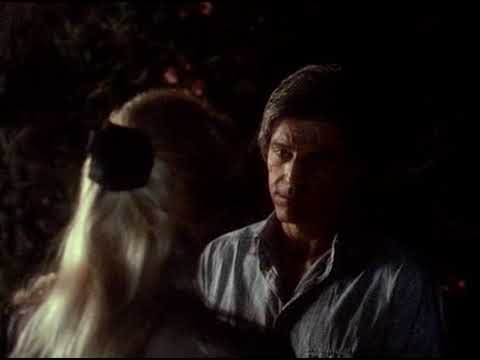 Fist Fighter (1989) - Final Scene  - George Rivero