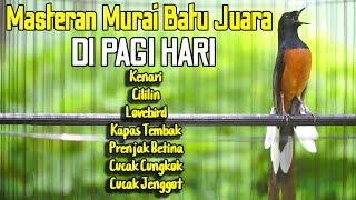Download lagu MASTERAN JUARA MURAI BATU TEMBAKAN DAHSYAT FULL ISIAN LOMBA mp3 Download lagu MASTERAN JUARA MURAI BATU TEMBAKAN DAHSYAT FULL ISIAN LOMBA mp3