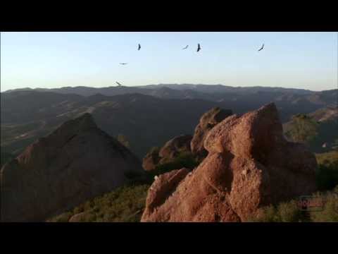 Visit Every Single American National Park!