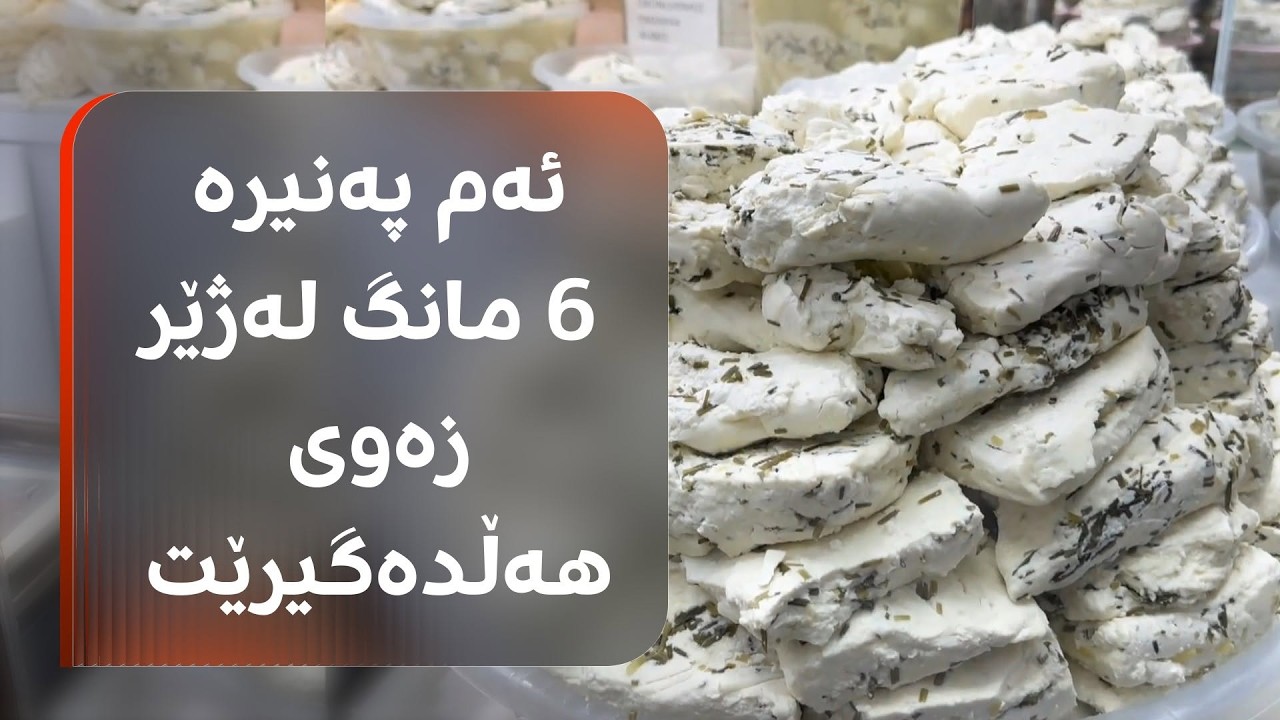 ڤیدیۆ | پەنیری وان بە 15 تامی جیاواز؛ جۆرێکی 6 مانگ لەژێر زەوی هەڵدەگیرێت و بزانە کیلۆی بەچەندە
