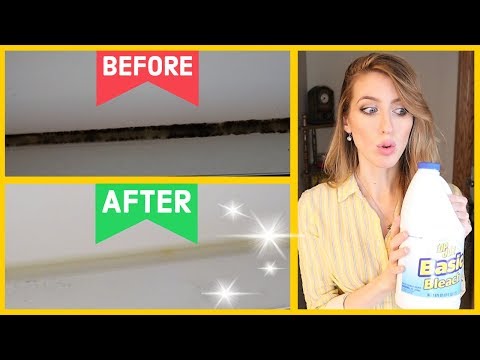 HOW TO CLEAN MOLDY SHOWER GROUT THE EASY WAY | BEST...