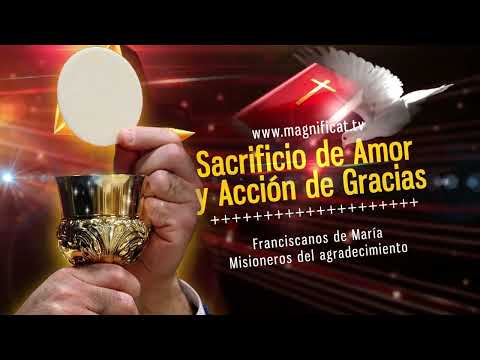 La Santa Misa de hoy l Miércoles, III semana del Tiempo Ordinario | 29-01-2025 l P Santiago Martín, FM