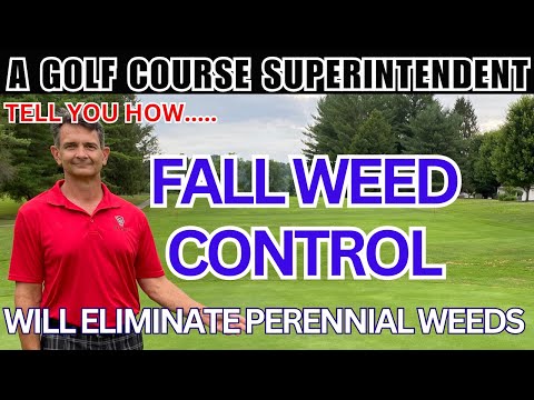 Fall Weed Control Tips: Best Herbicides for Clover, Ground Ivy & Broadleaf Weeds