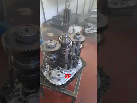 janzìman traxon euro 6 daf