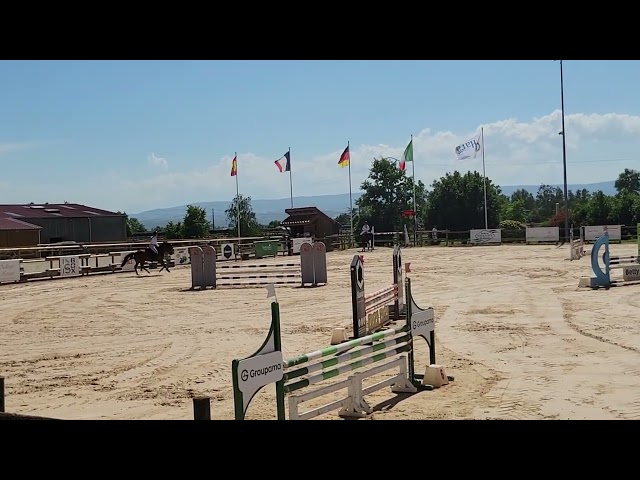 Cavalla PFS Pony Francese da Sella In vendita 2021 Baio ,  Etadam d&rsquo;Odival