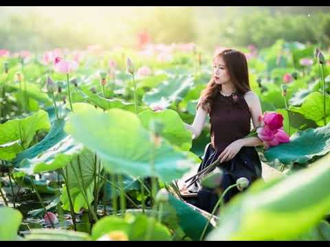 Meditation (Flying)Piano Music ★74  Desiree Joseph Darnell Garner Chana Guerra Angela Boyle