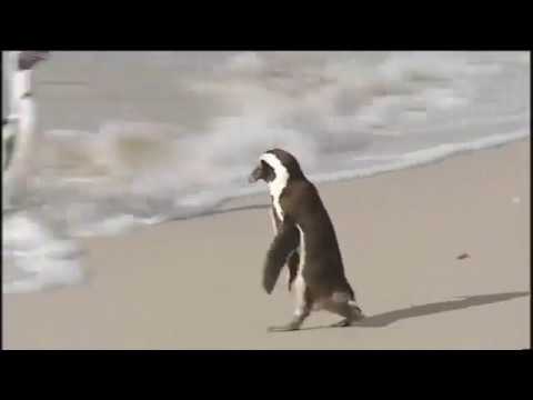 Speakout Elementary second edition Unit 4 Favourite places