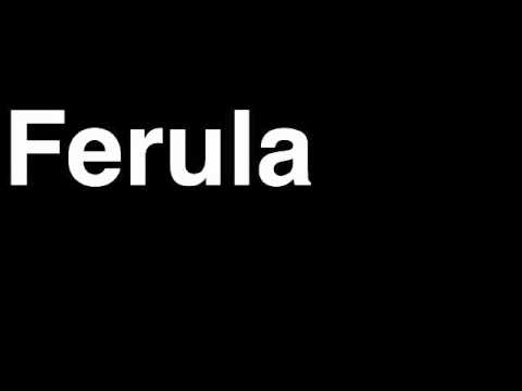 How to Pronounce Ferula Harry Potter Charm Curse Casting Magic Spell Incantation Wizard Wand Duel