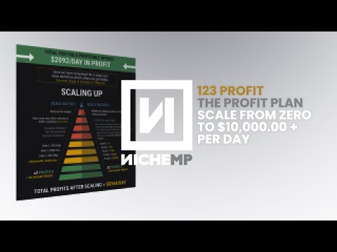 Scale From ZERO to $10,000+ per day | The 2023 Profit Plan | 123 Profit | Niche Market Place