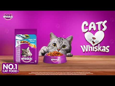 Sania Mirza x Whiskas | A-B-C of your Cat