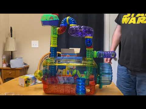 puzzle playground hamster