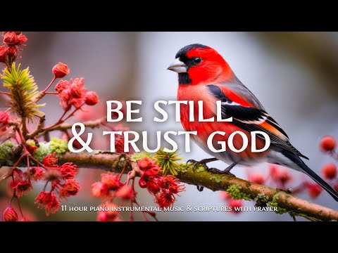 Be Still & Trust God : Instrumental Worship and Scriptures with Birds 🕊 Christian Instrumental