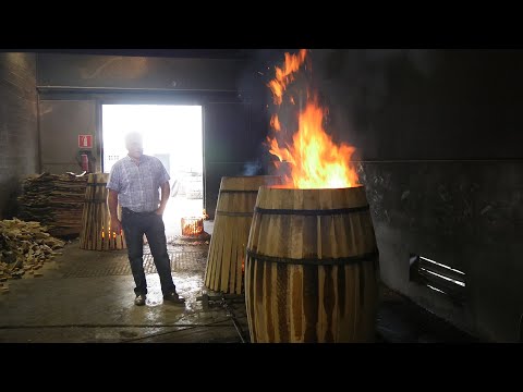 WILD TURKEY WHISKY quest for Spanish casks