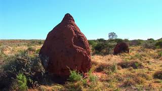 WA history gameplay video by Bevb, 3:05 duration