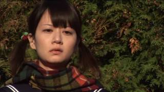 のりとななかまど