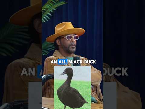 Wait Til The End💀🤣 #theovon #kattwilliams #comedy #thispasyweekend #jokes #ducks #mallard #funny