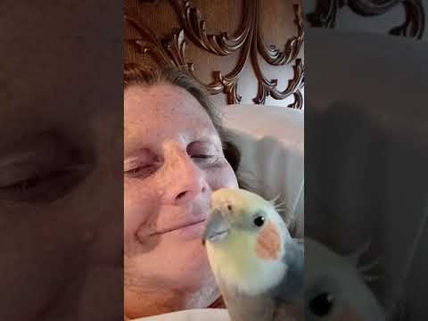 User submitted video