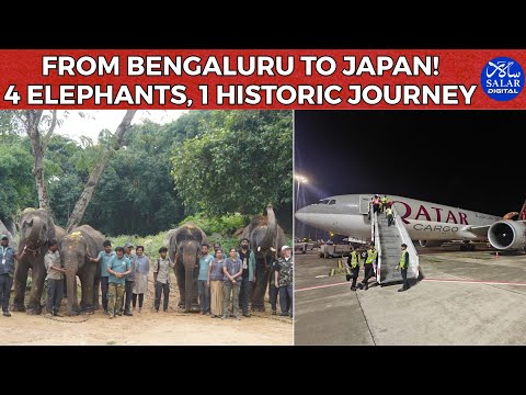 Bannerghatta’s Elephants Land in Japan in Historic Wildlife Exchange #bannerghattabiologicalpark