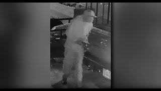 Crime Stoppers: Auto Thefts