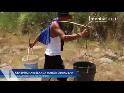Kekeringan Melanda Warga Cibarusah Kekeringan Melanda Warga Cibarusah