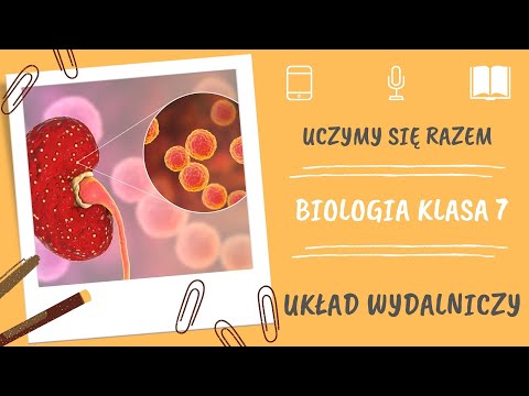 Biologia klasa 7. Układ wydalniczy. Uczymy się razem