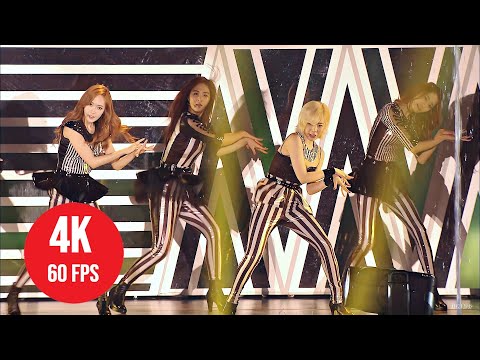 [ 4K LIVE ] Girls' Generation - Animal - (~Girls & Peace~ 2nd Tour Japan)