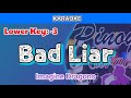 Bad Liar by Imagine Dragons (Karaoke : Lower Key :-3)