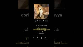 Download lagu LAGU ARAB VIRAL🍃 //QORIB MINI SHWAYYA//STORYWA #viral #tiktok mp3