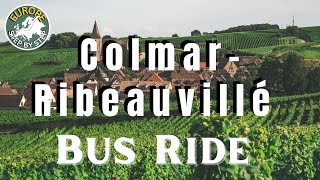 🇫🇷 Colmar - Ribeauvillé 🚌 Bus Ride Through the Beautiful Hilly Vineyards of Alsace, France ☀️ 4K HDR