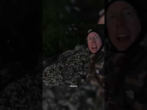 Building a Bear Fortress: Camping in the Wild