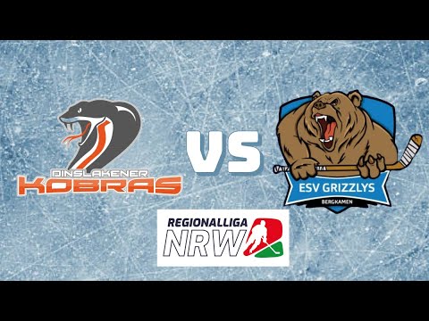 Highlights I RL NRW Playoffs 2025 Viertelfinale Spiel 3 Dinslaken Kobras -Grizzlys Bergkamen