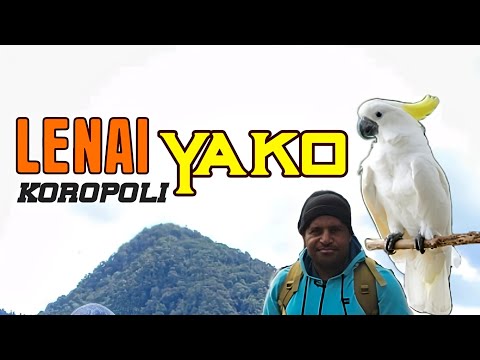 03. Bata Miles - Lenai Koropoli Yako [Vol.11](2024)[Tomio Pinango]@tomiostudio_