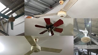 Ceiling Fans in My House | 3/11/2025