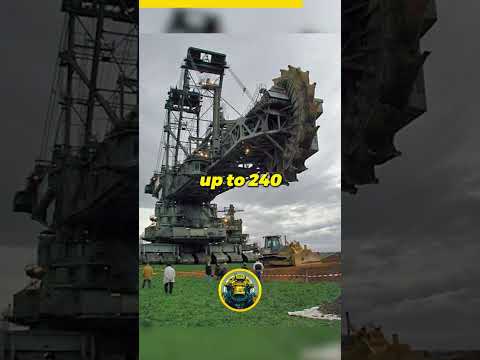 Alles über Bagger 288 und seine Geschichte