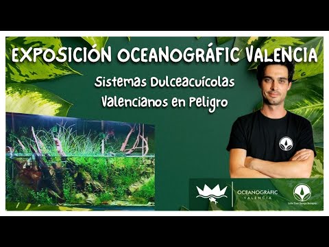 , title : 'Exposición temporal: Ecosistemas Dulceacuícolas amenazados de la Comunidad Valenciana.'