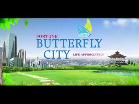 Video #1