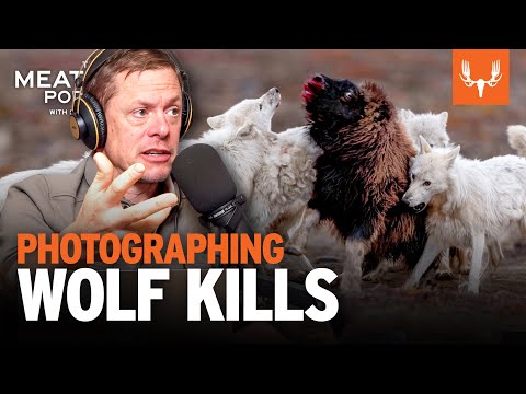 Photographing Wolf Kills and Other Impossible Shots | The MeatEater Podcast Ep. 814