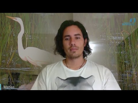 Day 336 SWAMP - Matias De Stefano - English Edit