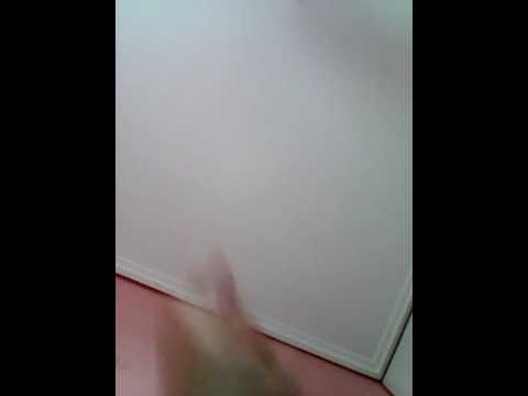 Boys  + noise.  Amita  motion  2016